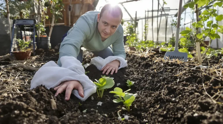 Jardinage : que faire au potager à la mi-avril, voici les gestes essentiels à ne pas oublier