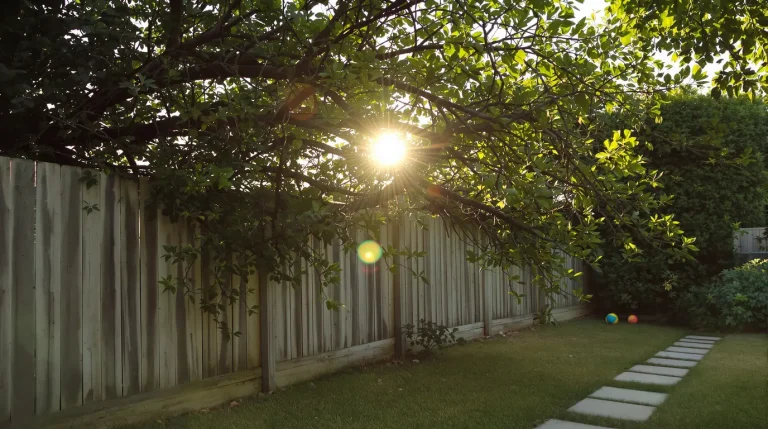 La haie de mon voisin dépasse dans mon jardin : doit-il la couper ? Ce que dit vraiment la loi