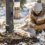 Pourquoi les jardiniers saupoudrent désormais du café sur les mangeoires à oiseaux